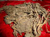 Kumar Sharma  Global & Herbal Enterprises why us